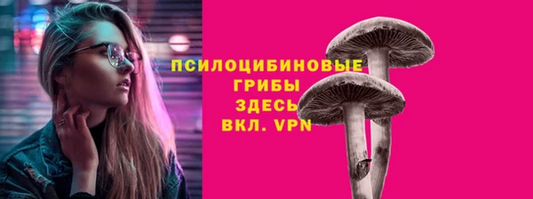 дживик Баксан